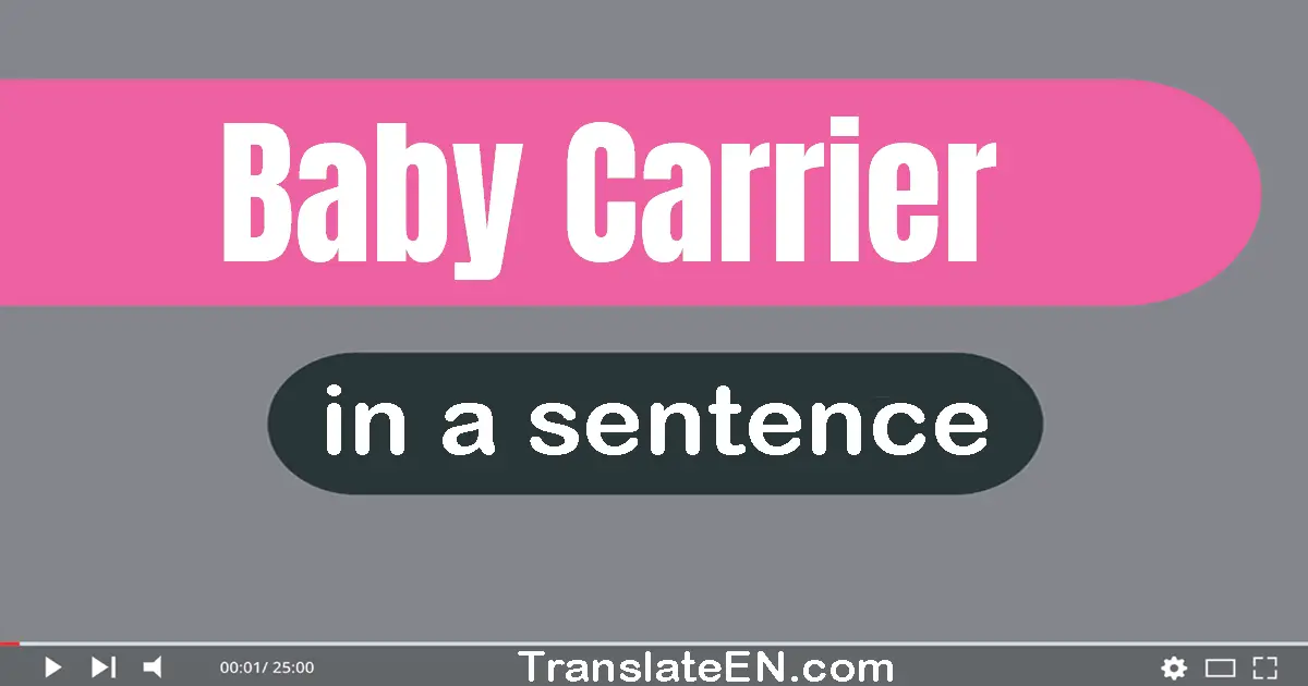 Baby Carrier in a sentence