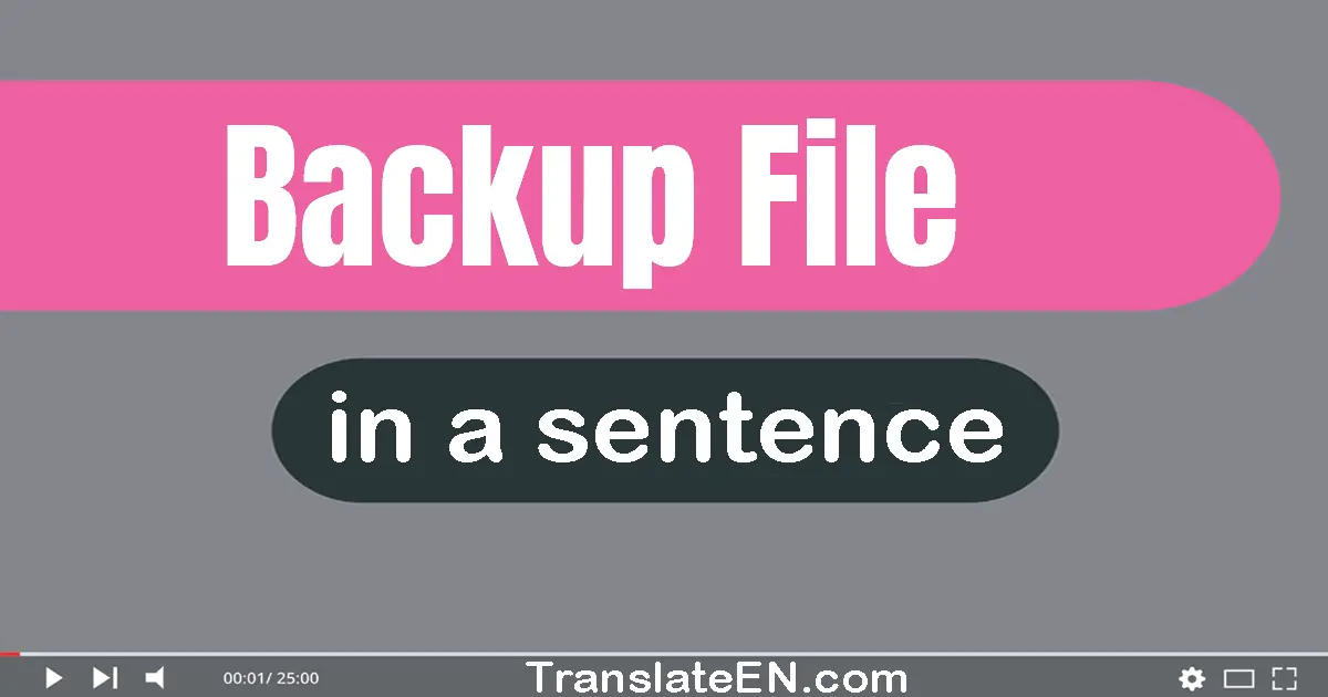 Backup File in a sentence