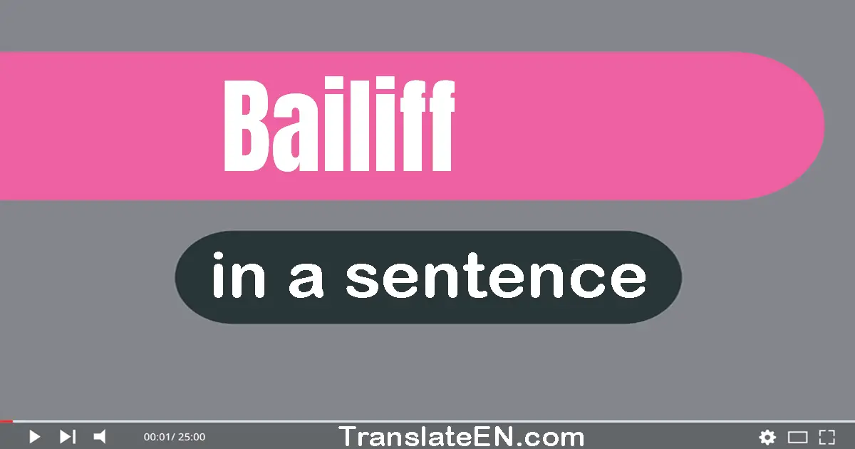 Use "bailiff" in a sentence | "bailiff" sentence examples