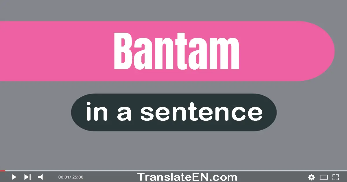 Bantam in a sentence