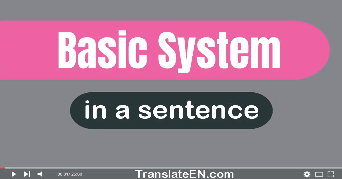 Use "basic system" in a sentence | "basic system" sentence examples