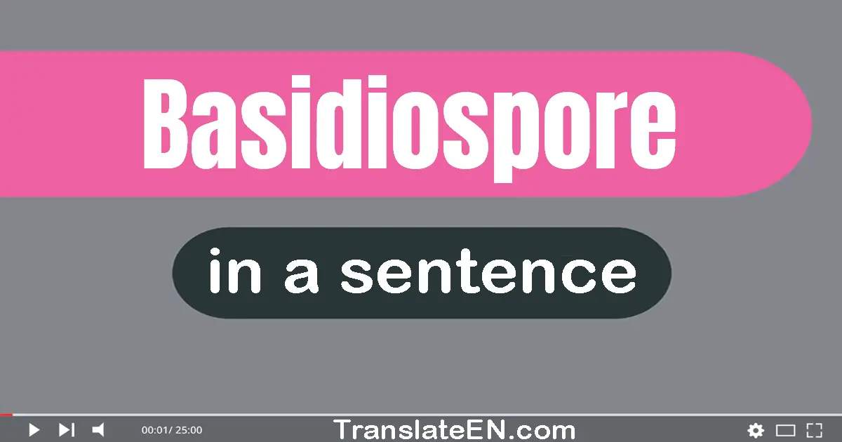 Use "basidiospore" in a sentence | "basidiospore" sentence examples