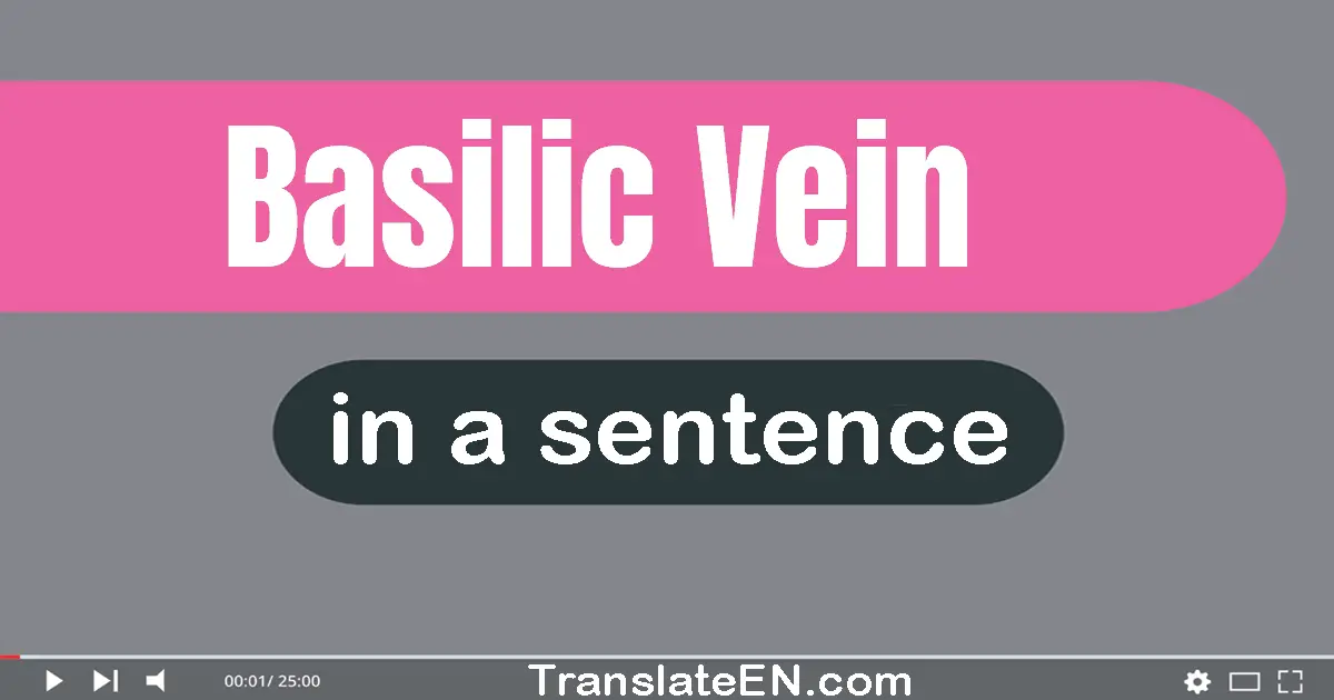 Use "basilic vein" in a sentence | "basilic vein" sentence examples