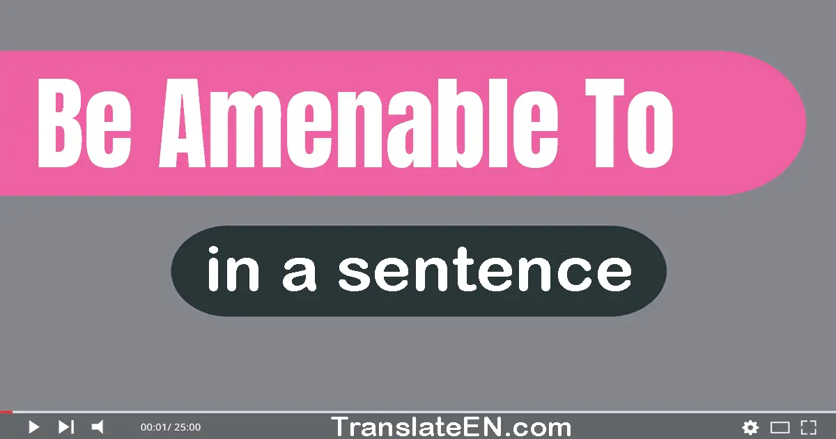 Be Amenable To in a sentence