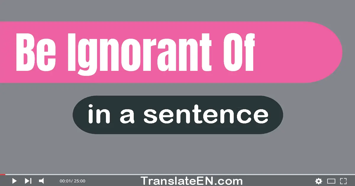 Be Ignorant Of in a sentence