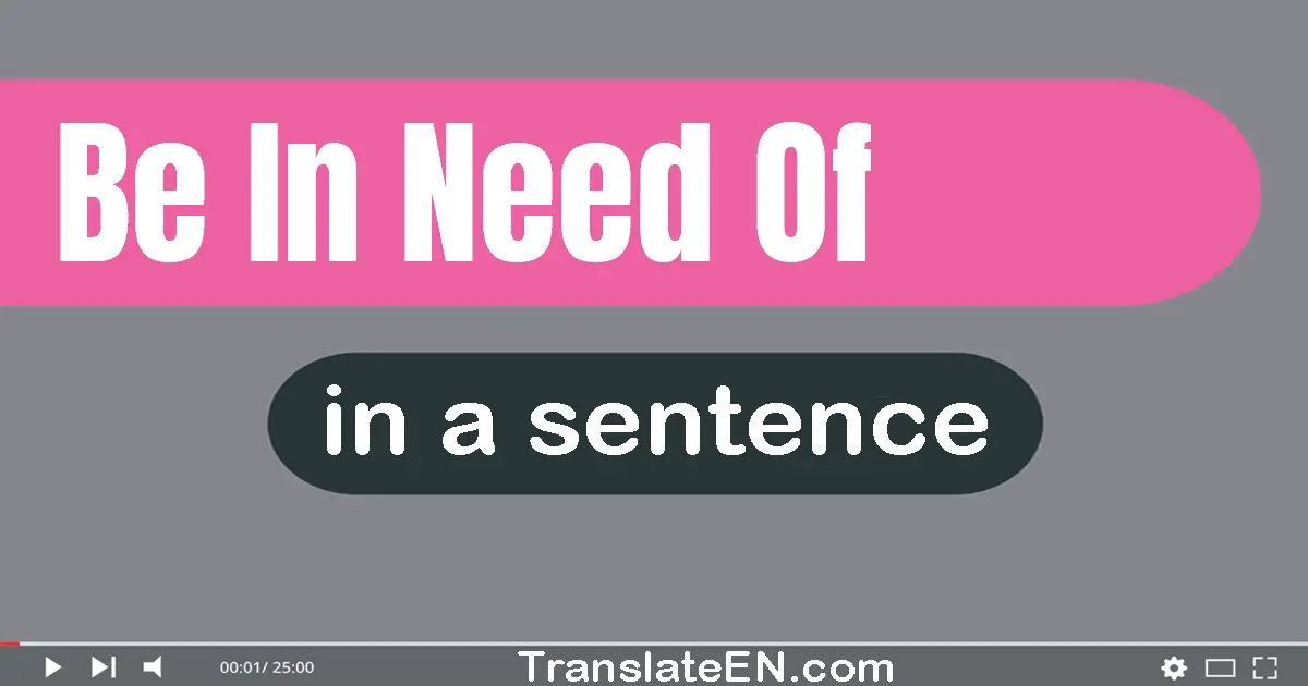 Be In Need Of in a sentence