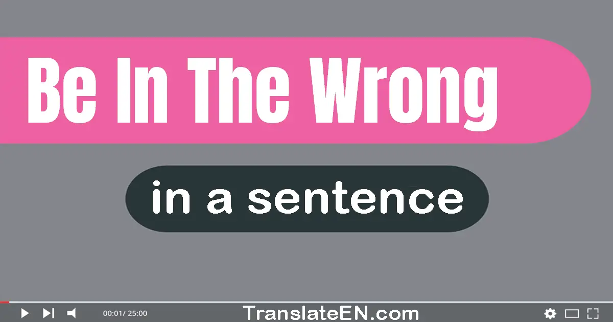 Be In The Wrong in a sentence