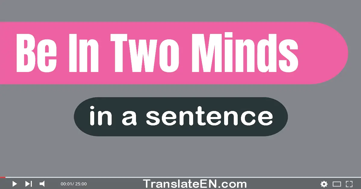 Be In Two Minds in a sentence