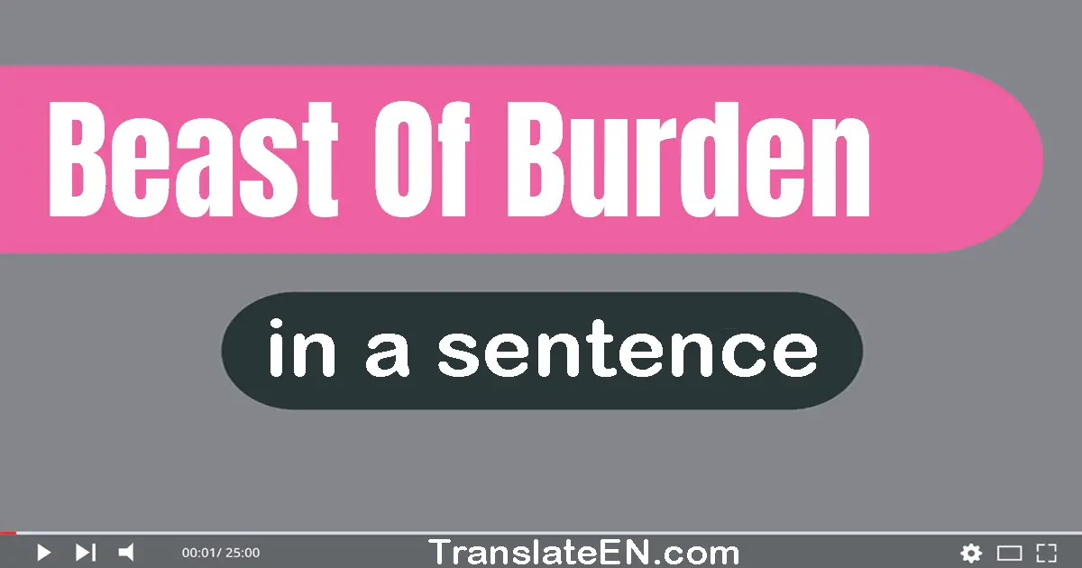 Use "beast of burden" in a sentence | "beast of burden" sentence examples