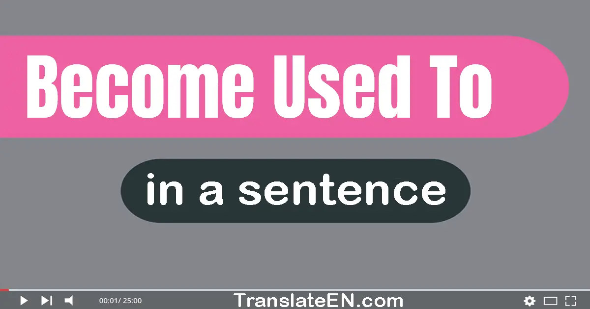 Become Used To in a sentence