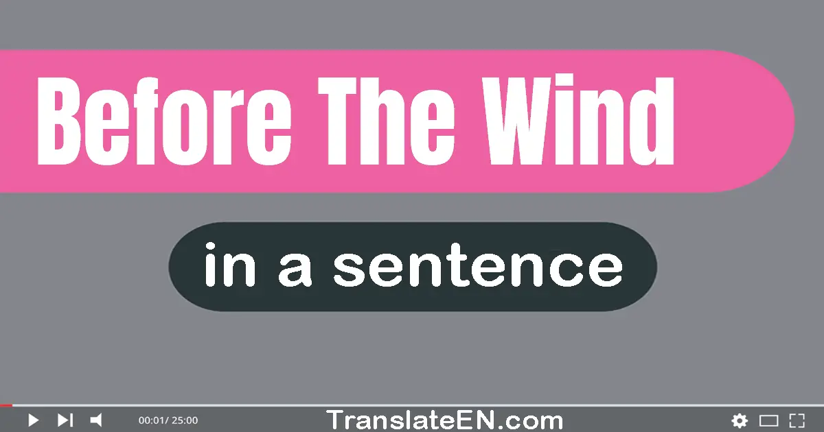 Before The Wind in a sentence