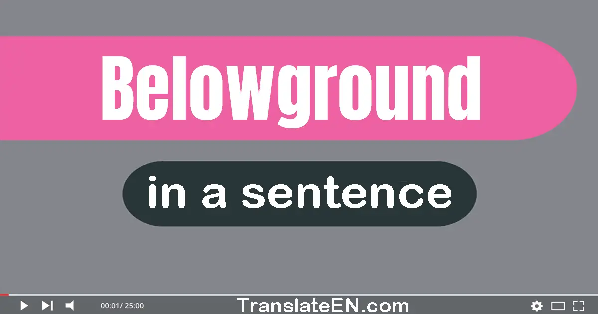 Belowground in a sentence