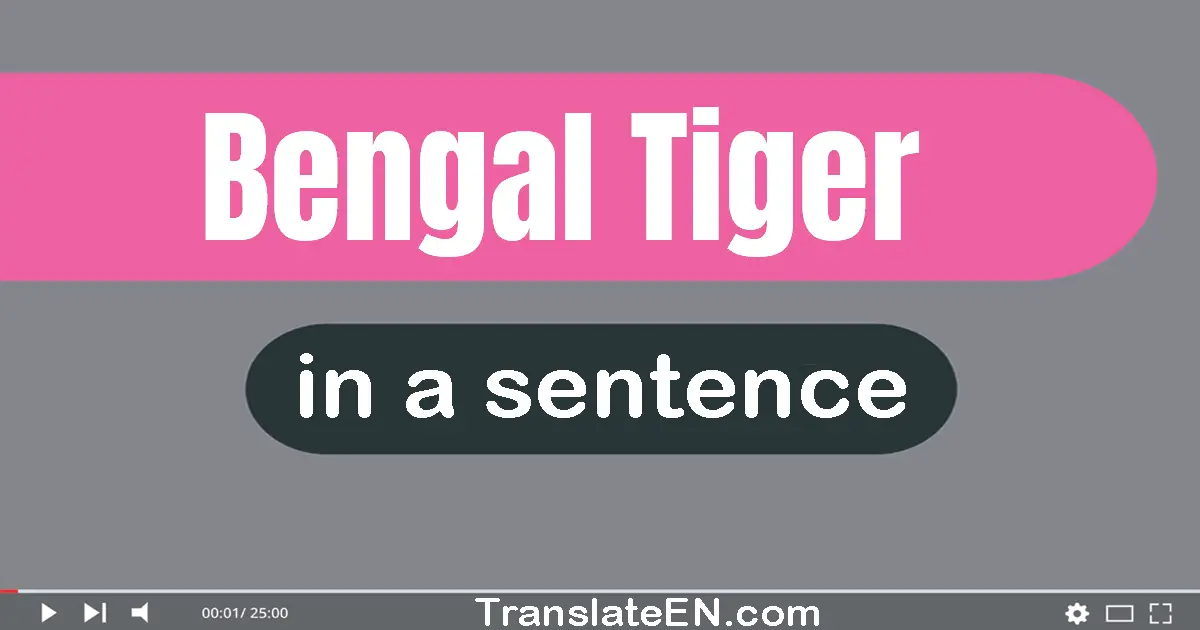 Bengal Tiger in a sentence