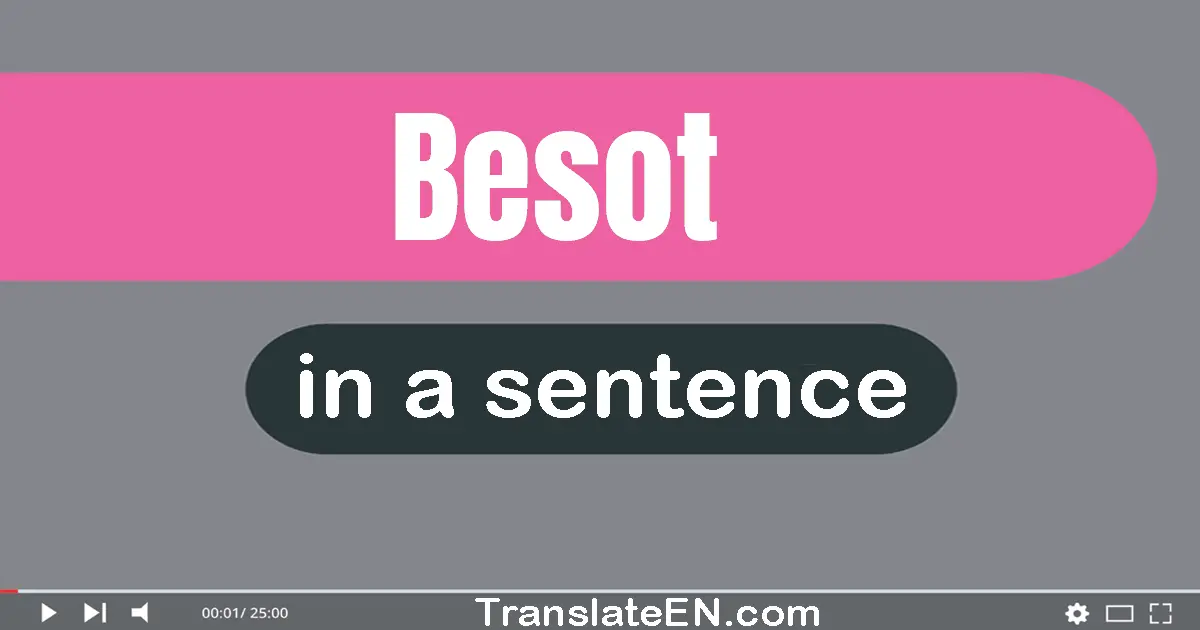 Use "besot" in a sentence | "besot" sentence examples