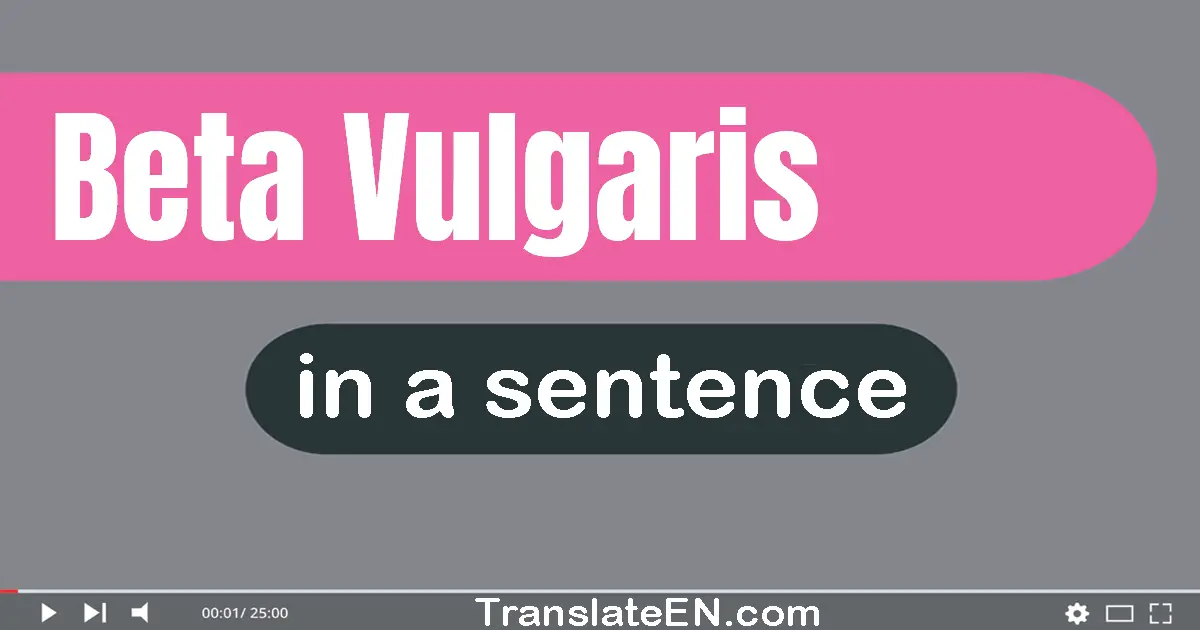 Use "beta vulgaris" in a sentence | "beta vulgaris" sentence examples