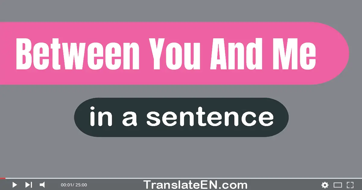 Use "between you and me" in a sentence | "between you and me" sentence examples