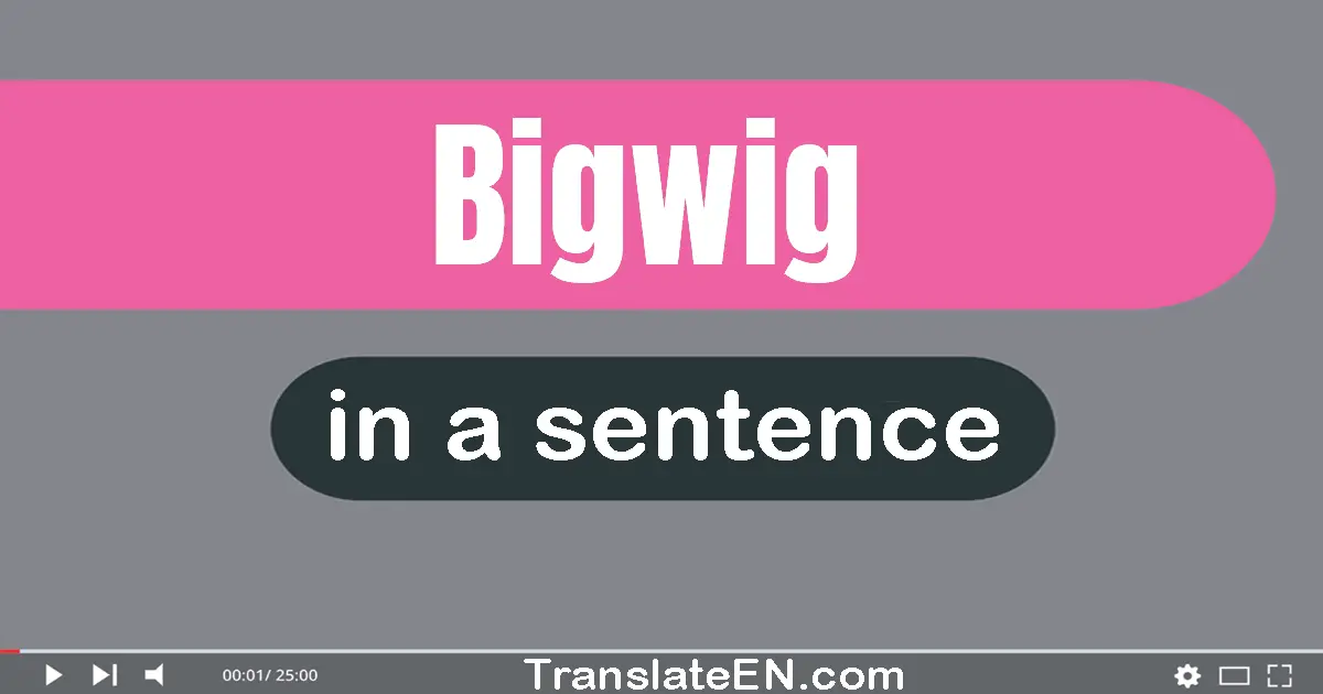 Bigwig in a sentence