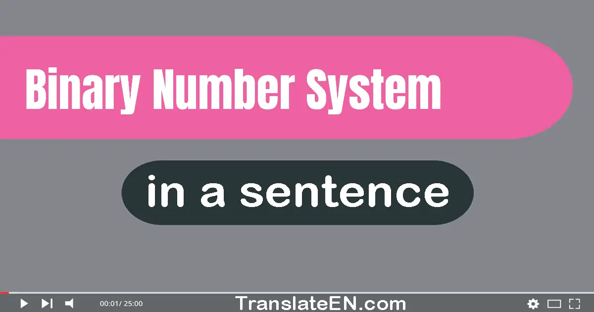 Binary Number System in a sentence