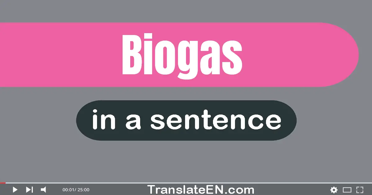 Use "biogas" in a sentence | "biogas" sentence examples