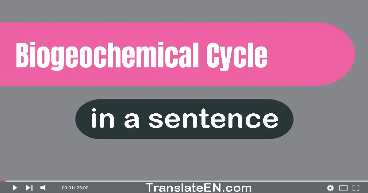 Use "biogeochemical cycle" in a sentence | "biogeochemical cycle" sentence examples