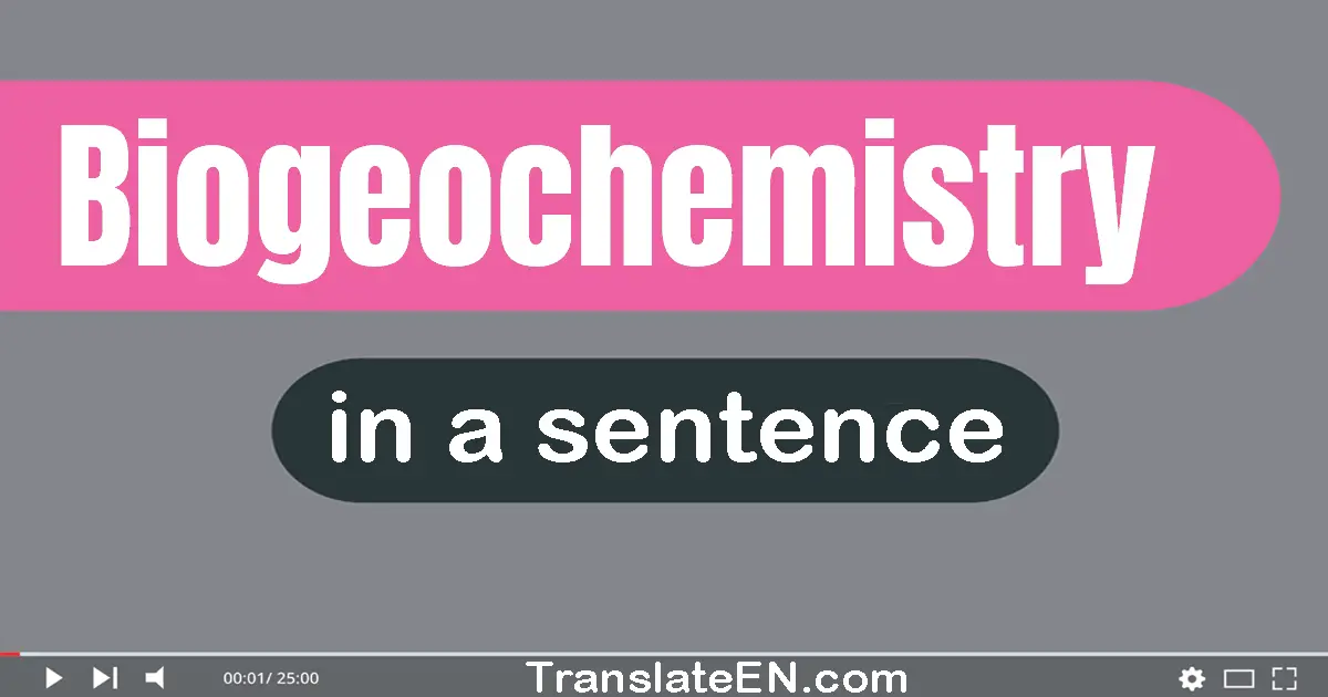 Use "biogeochemistry" in a sentence | "biogeochemistry" sentence examples