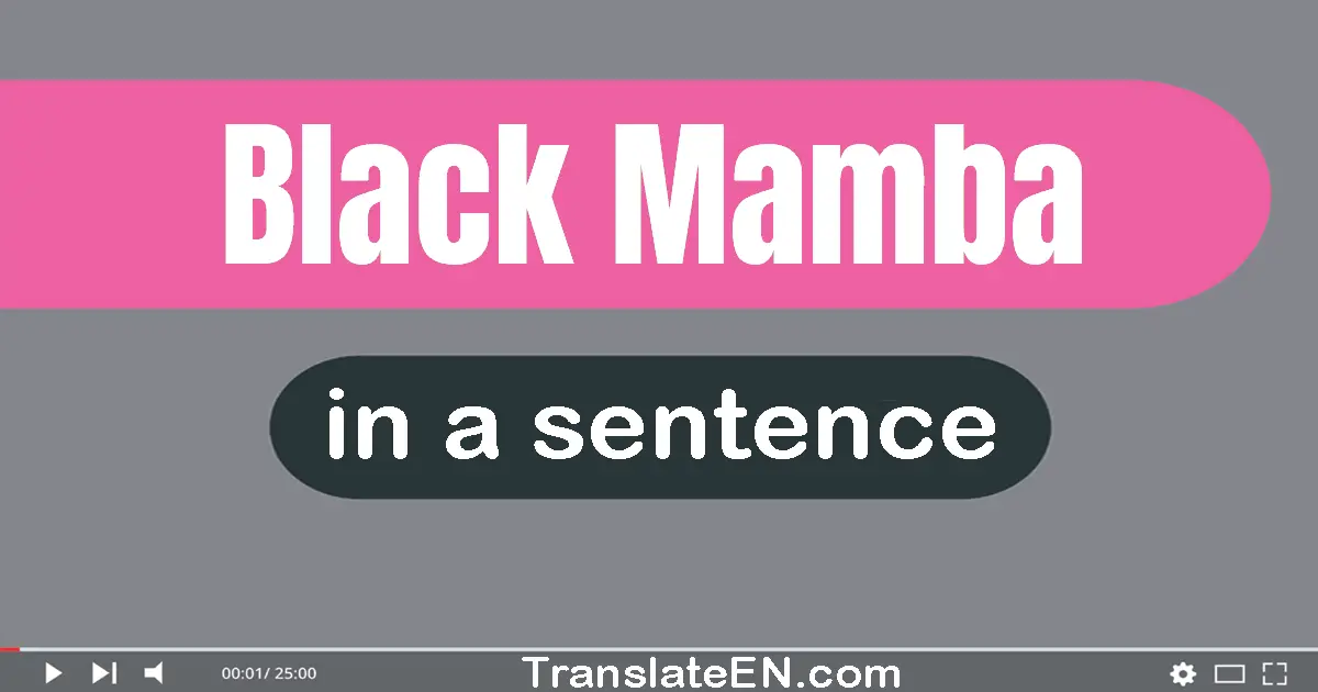 Black Mamba in a sentence