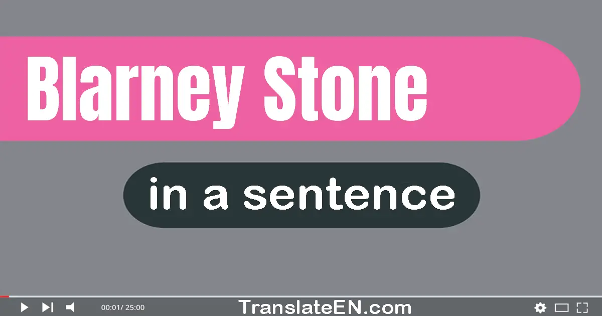Use "blarney stone" in a sentence | "blarney stone" sentence examples