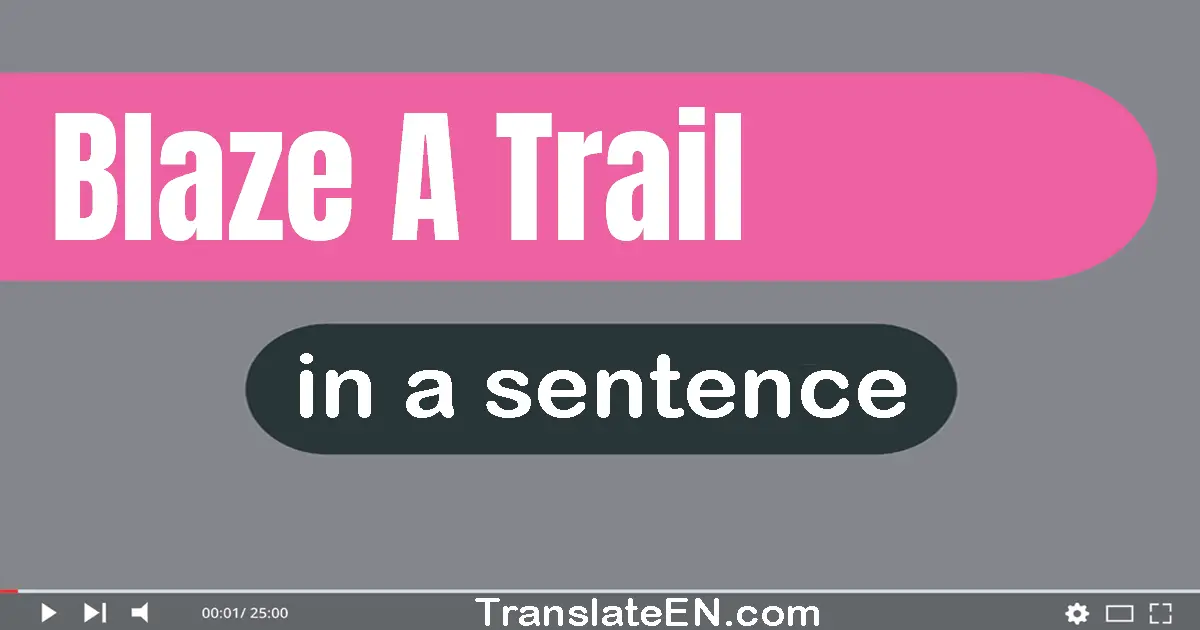 Use "blaze a trail" in a sentence | "blaze a trail" sentence examples