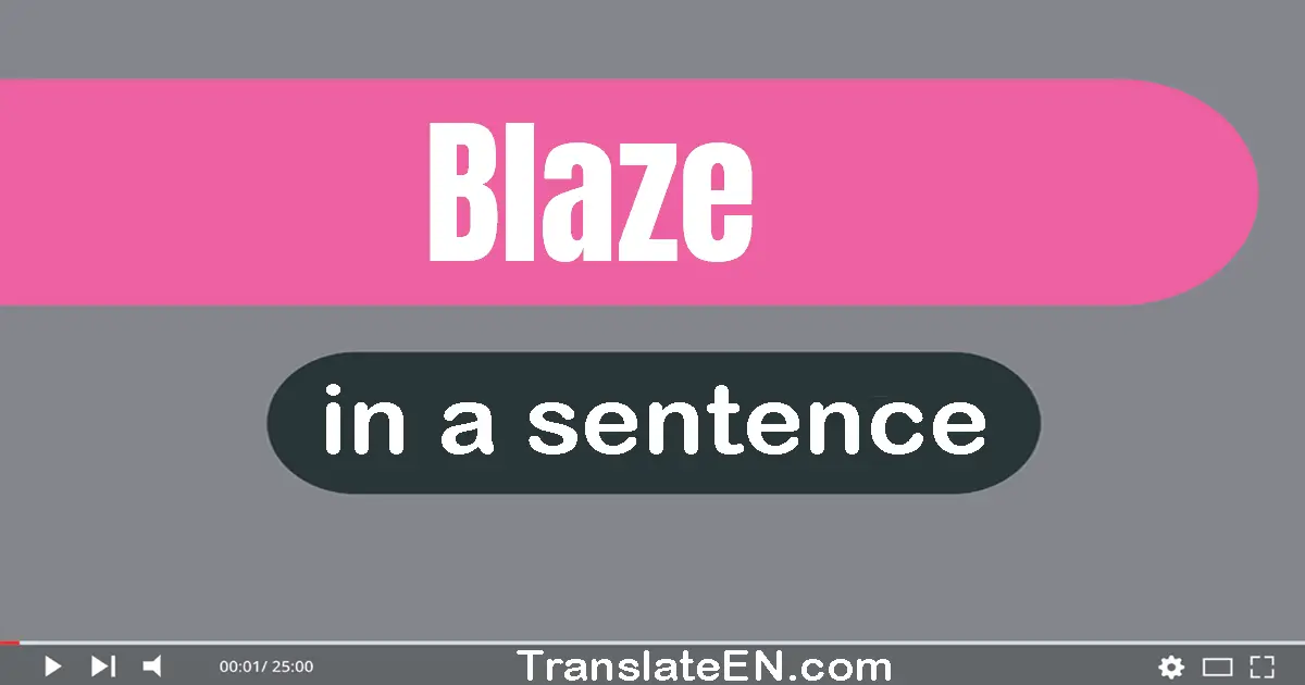 Use "blaze" in a sentence | "blaze" sentence examples