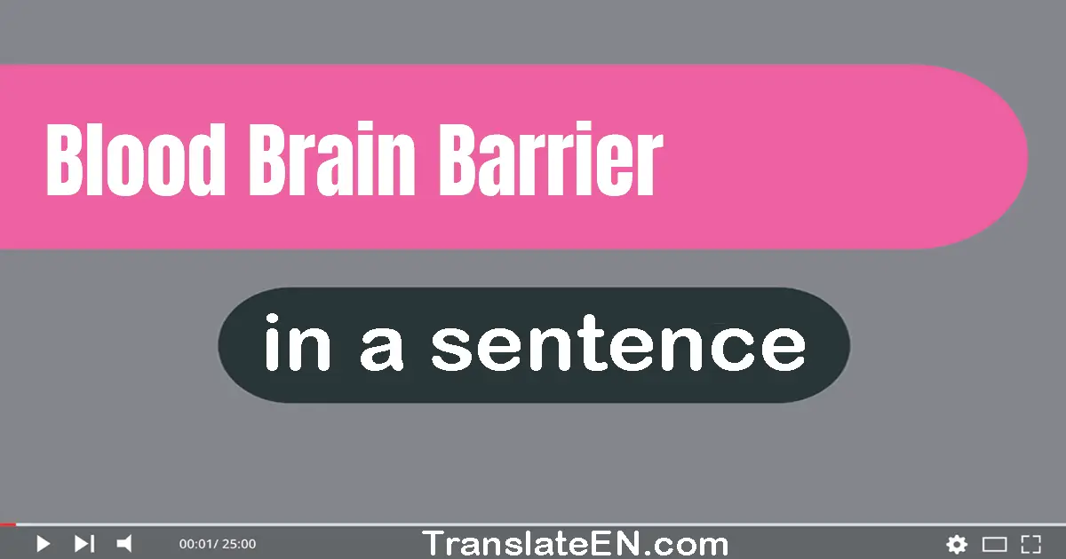 Blood-brain Barrier in a sentence