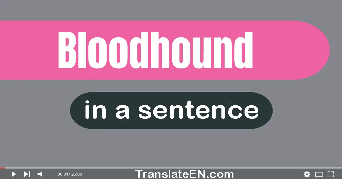 Bloodhound in a sentence