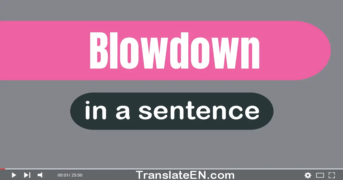 Blowdown in a sentence