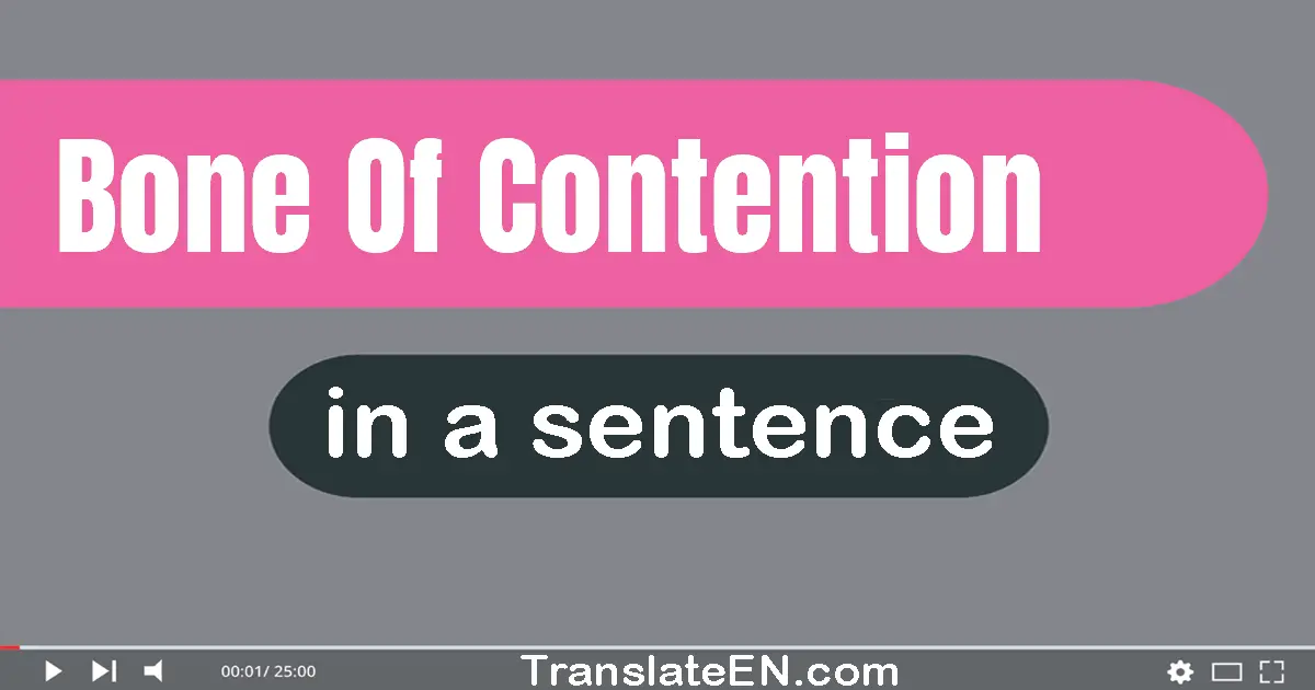 Bone Of Contention in a sentence