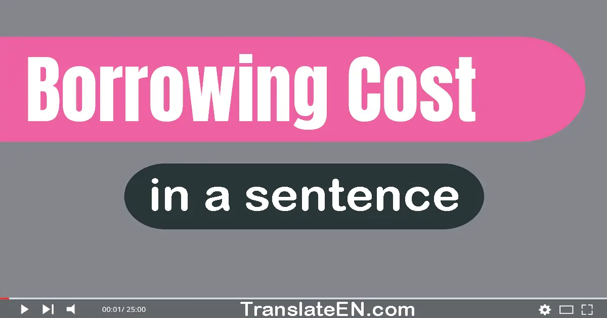 Borrowing Cost in a sentence