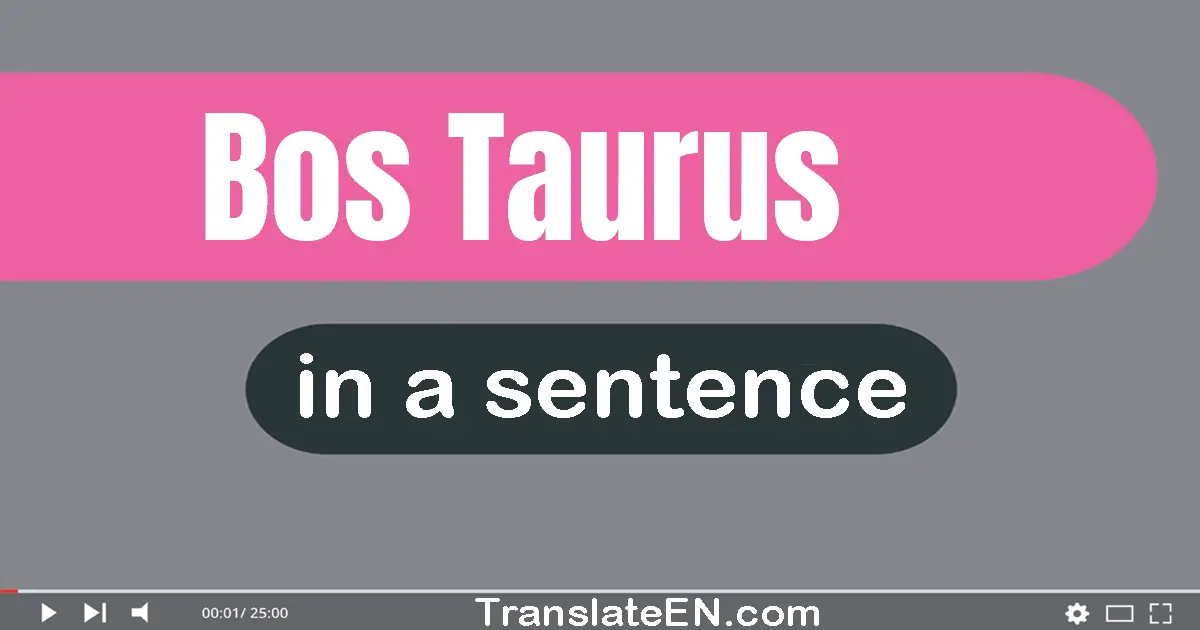 Bos Taurus in a sentence