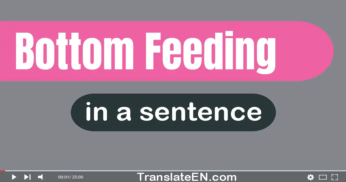 Bottom-feeding in a sentence