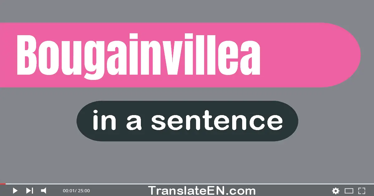 Bougainvillea in a sentence