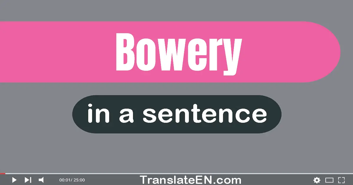 Use "bowery" in a sentence | "bowery" sentence examples