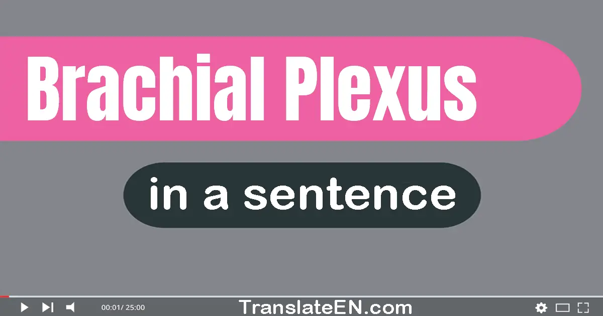 Use "brachial plexus" in a sentence | "brachial plexus" sentence examples