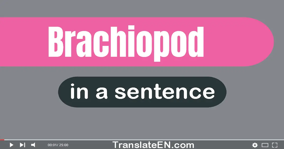 Brachiopod in a sentence