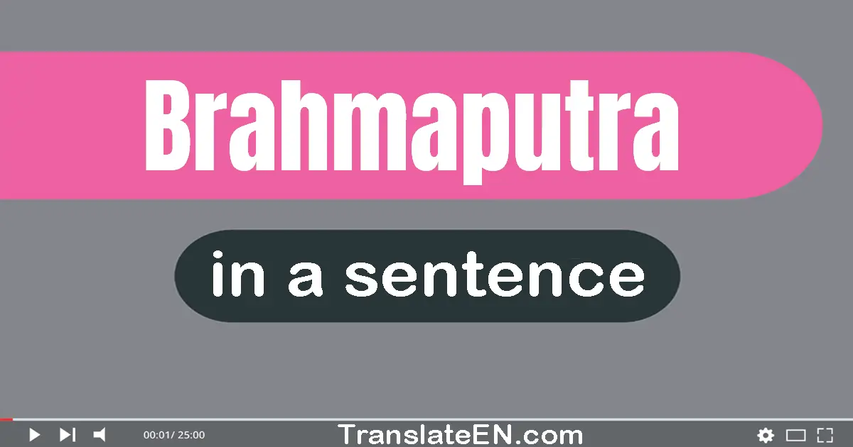 Brahmaputra in a sentence