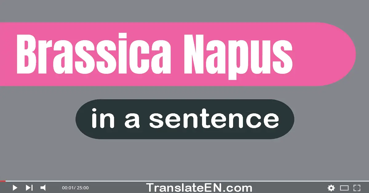 Brassica Napus in a sentence