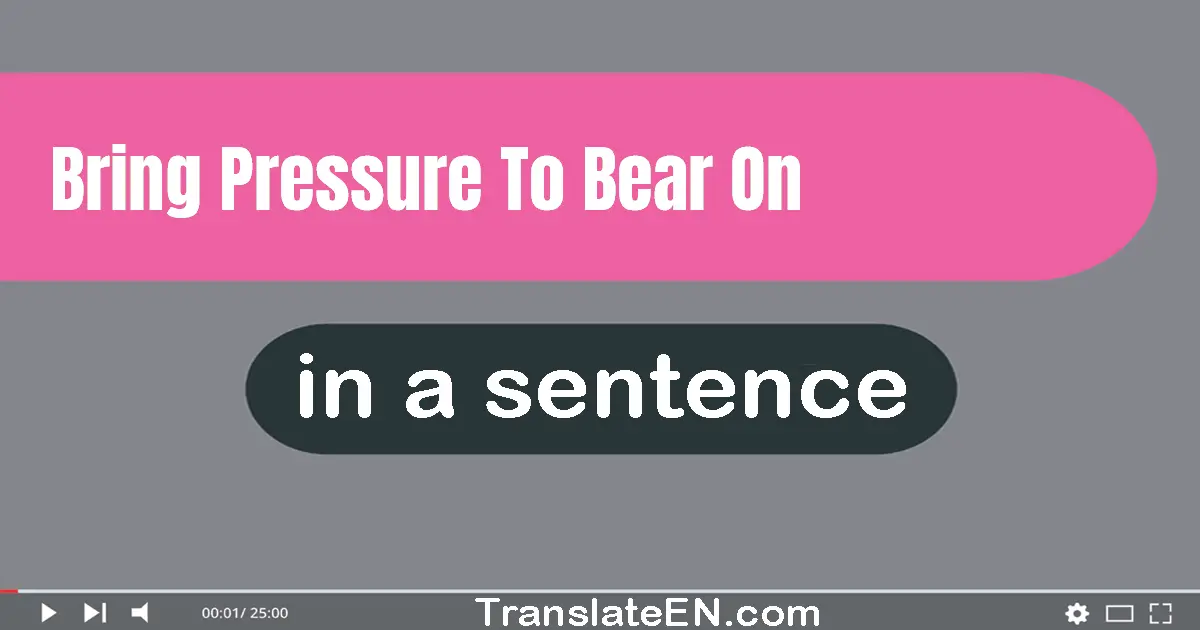 Bring Pressure To Bear On in a sentence