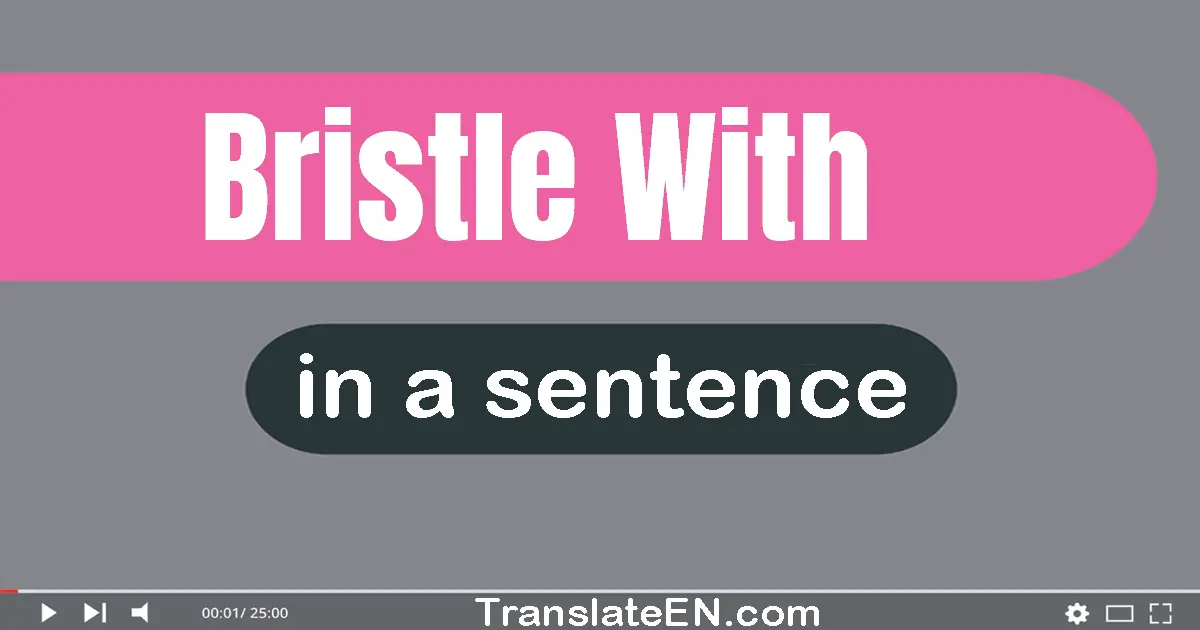 Bristle With in a sentence