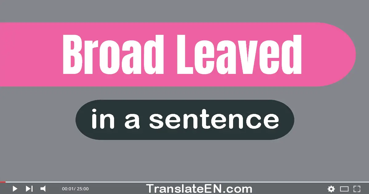 Broad-leaved in a sentence