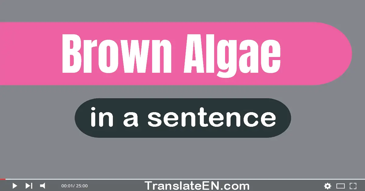 Brown Algae in a sentence