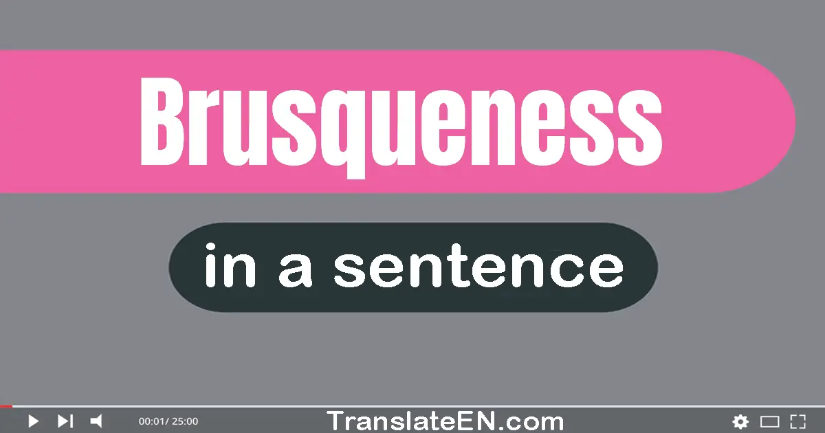 Use "brusqueness" in a sentence | "brusqueness" sentence examples