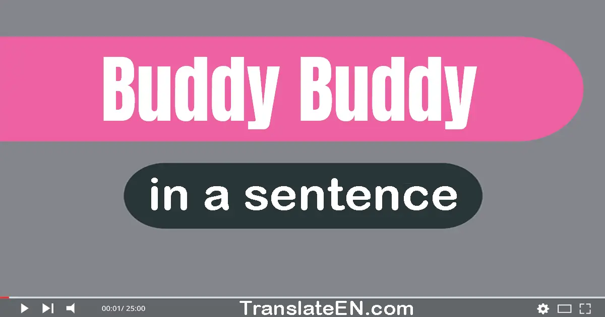 Buddy-buddy in a sentence