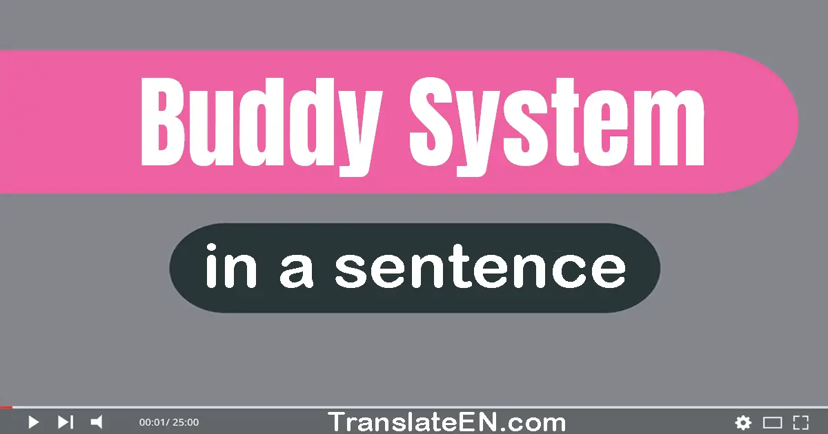 Buddy System in a sentence