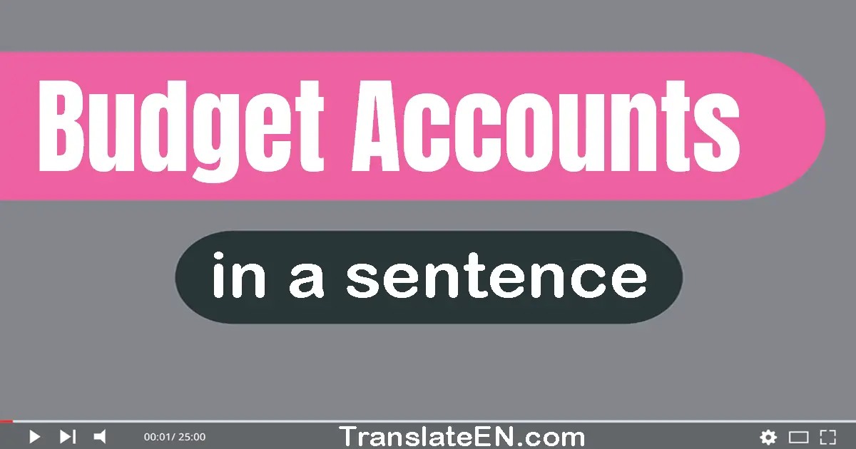 Budget Accounts in a sentence